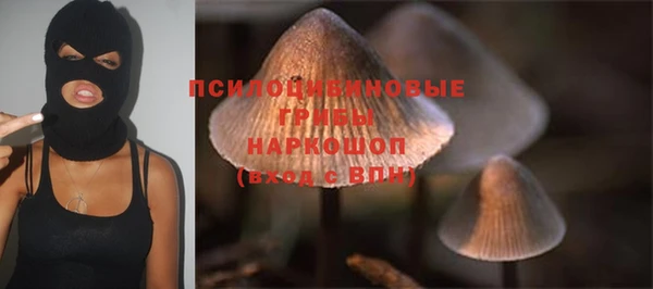 PSILOCYBIN Бугульма